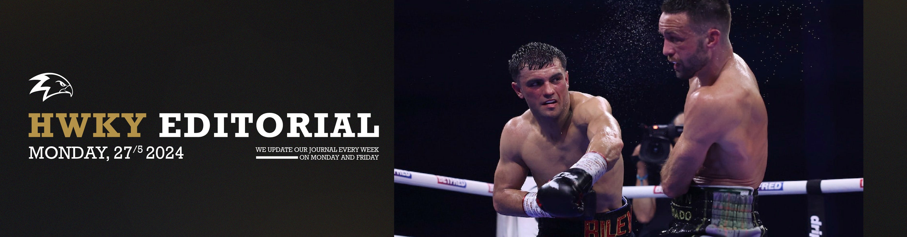 The Rise and Fall of Josh Taylor