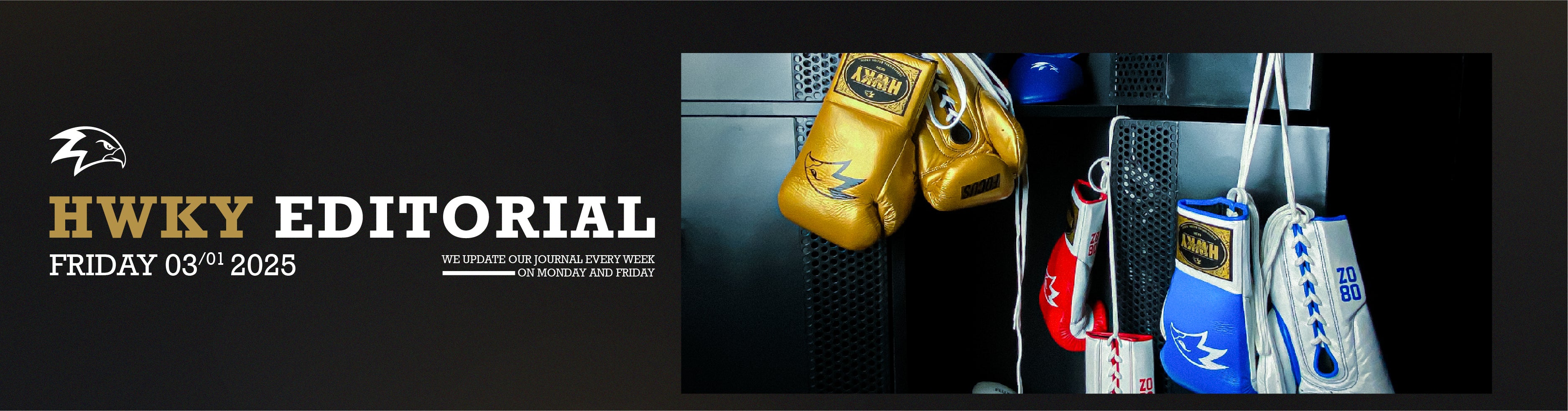 A Year of a Promising Future in Combat Sports