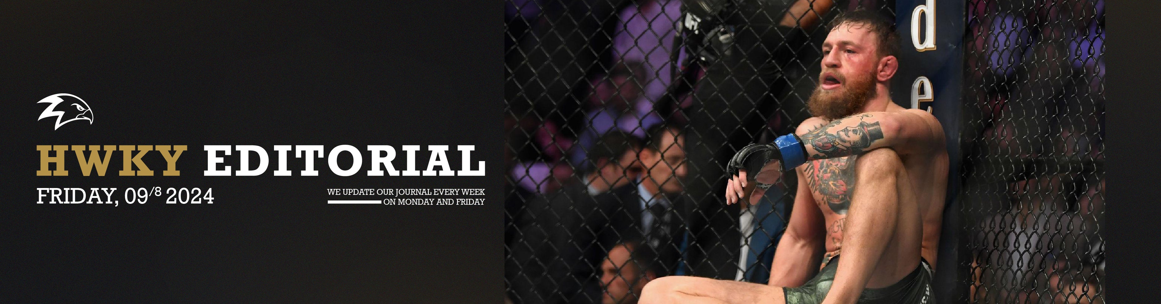 Mental Health Effects In Combat Sports: It’s Not Just About Fighting.
