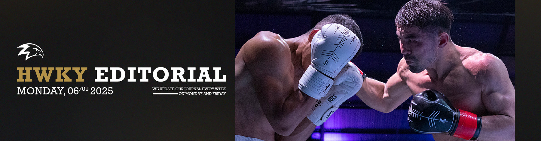 2025 Resolutions for Avid Boxing Hobbyists: Consistency is Key