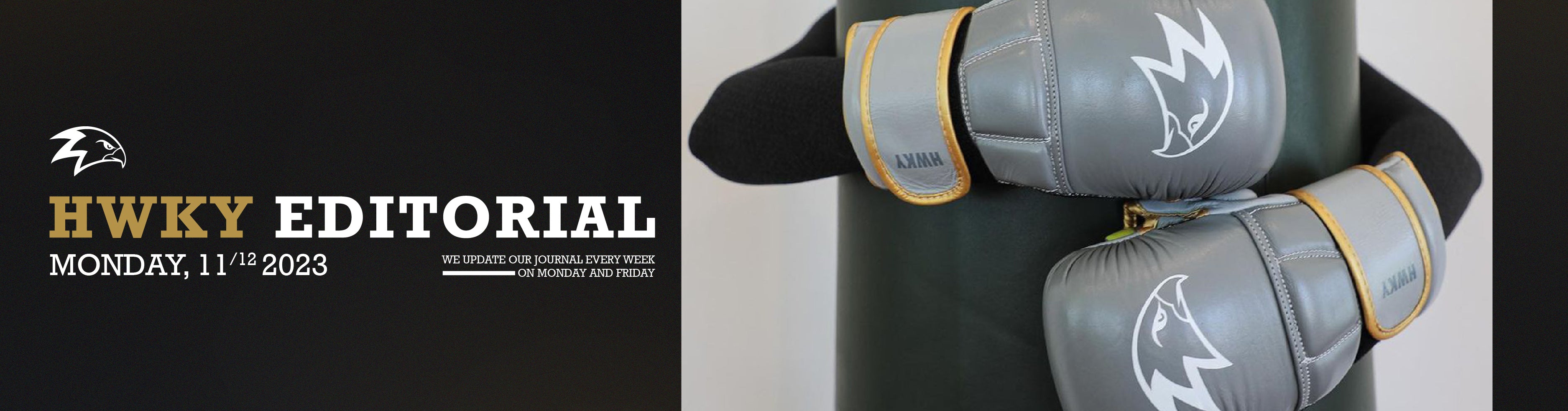 Unleash Your Potential: The Crucial Role of MMA Hybrid Gloves in Enhancing Your Sparring Experience
