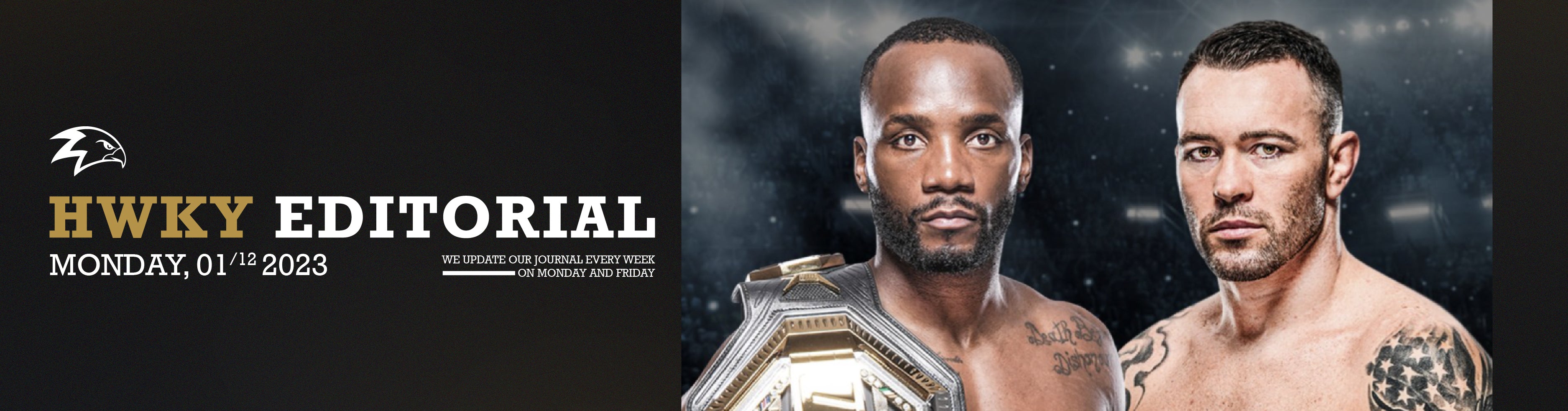 UFC 296 : USA VS The United Kingdom