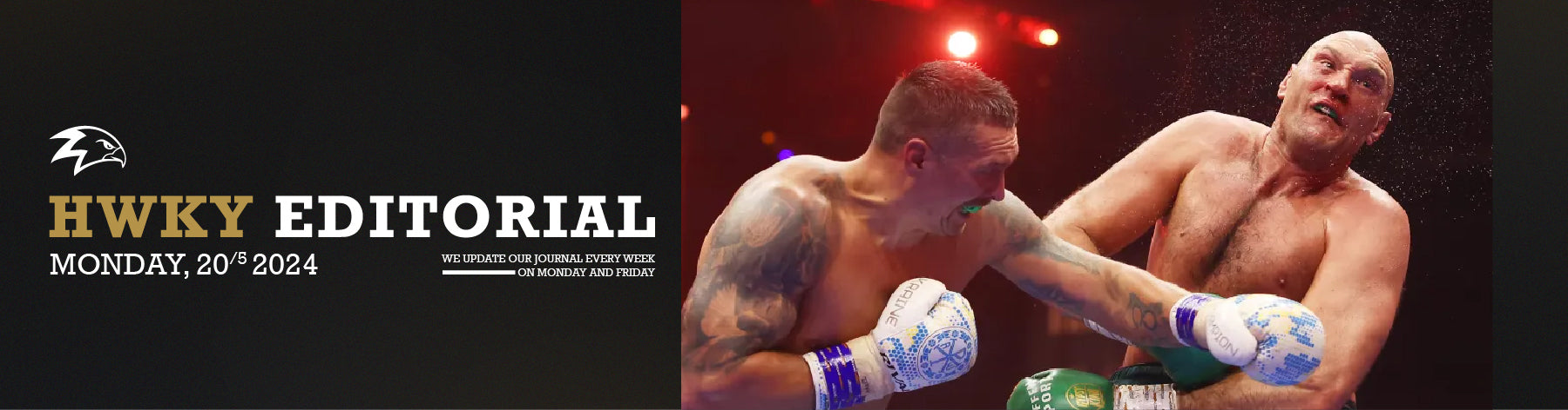 Usyk Is Officially The King Of Boxing