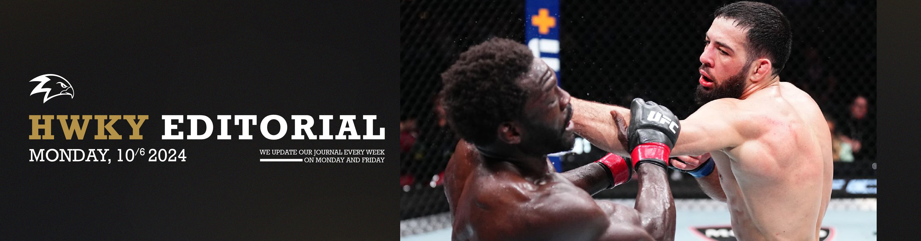 The Impact of Early Stoppages in MMA and Boxing