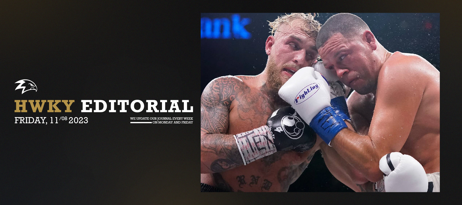 Should MMA Fighters Stop Entering Pro-Boxing Bouts?