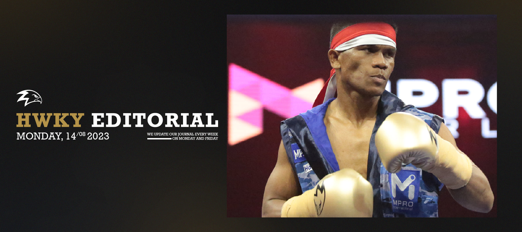 Is Professional Boxing Dead In Indonesia? The Shift From Professional To Influencer.