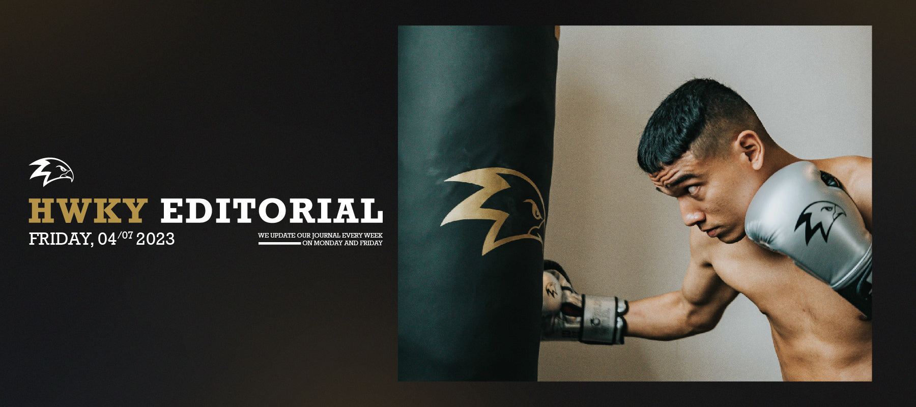 Unleash Your Inner Fighter: Finding the Perfect Heavy Bag with Hawkeye Fightwear