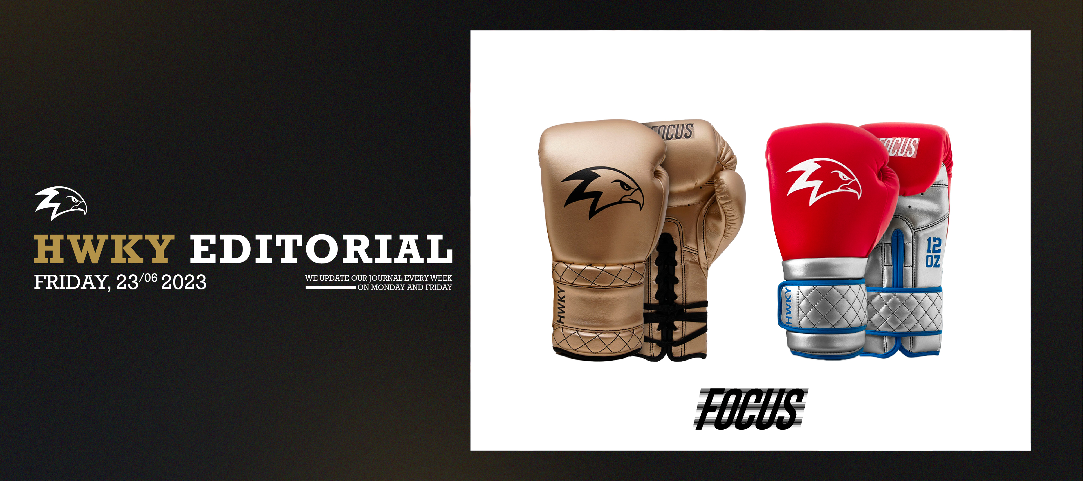 The Battle of Boxing Gloves: Lace-Up vs. Velcro
