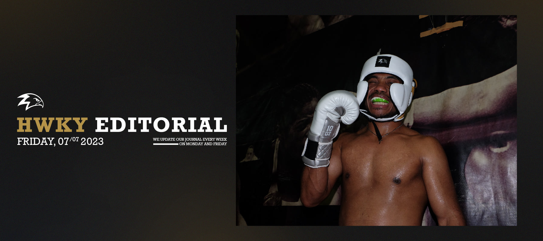 The Importance of Wearing Headgear in Combat Sports: Exploring Types and Recommendations From Hawkeye