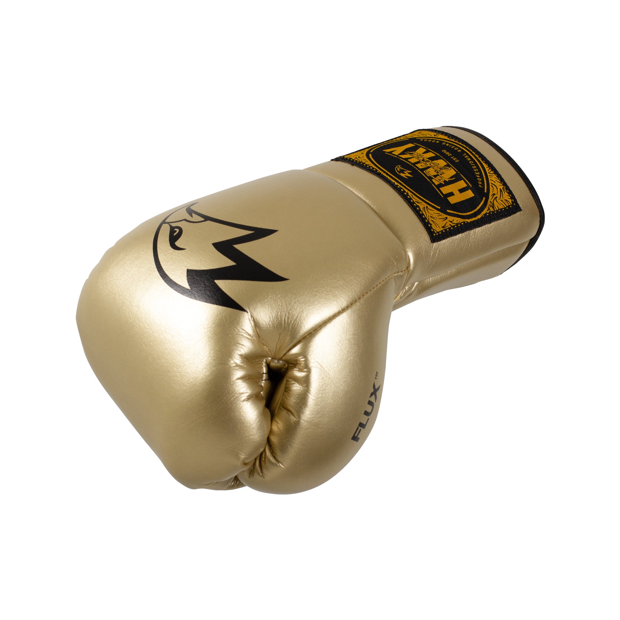 FOCUS HORSE HAIR FIBRE BOXING GLOVES GOLDEN
