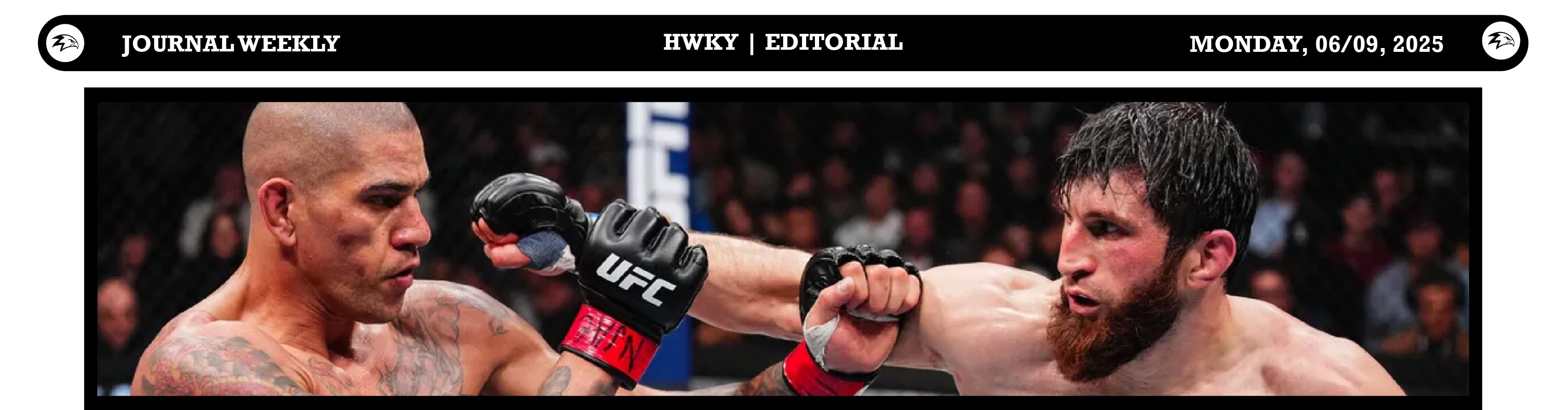 The Stars of the TKO Era of UFC Shine