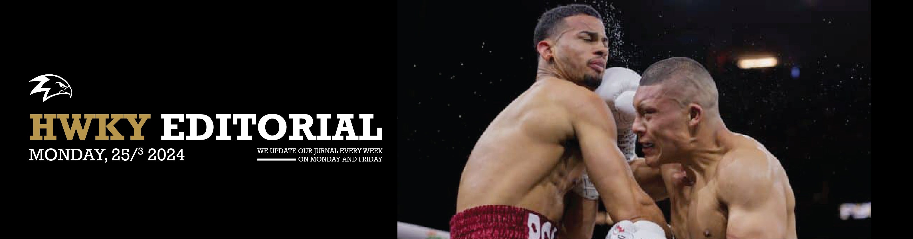 Cruz Crushes Romero: A Night of Boxing Brilliance