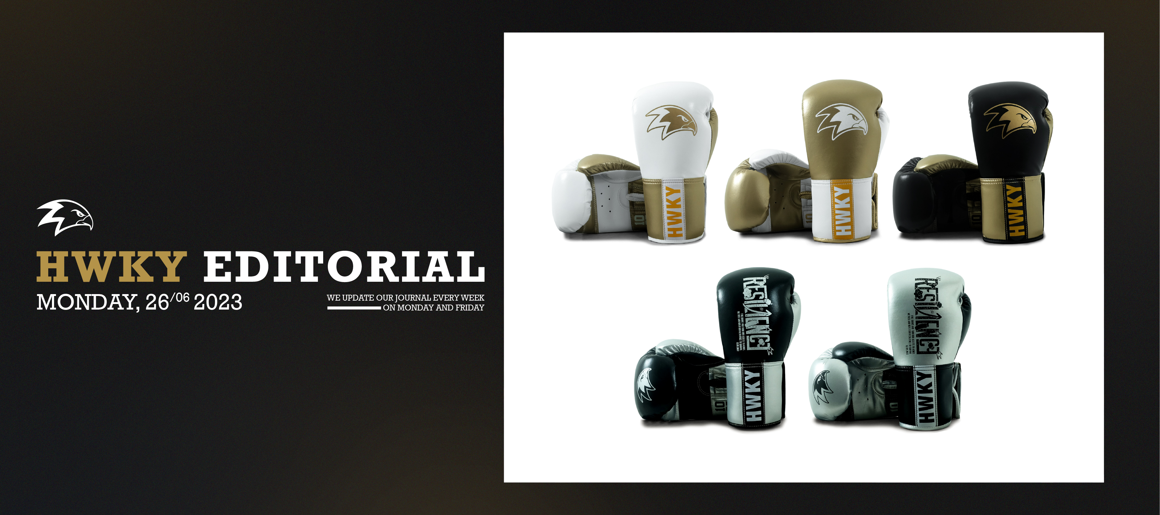 Unleash Your Inner Champion with Strong World 2.0 Boxing Gloves.