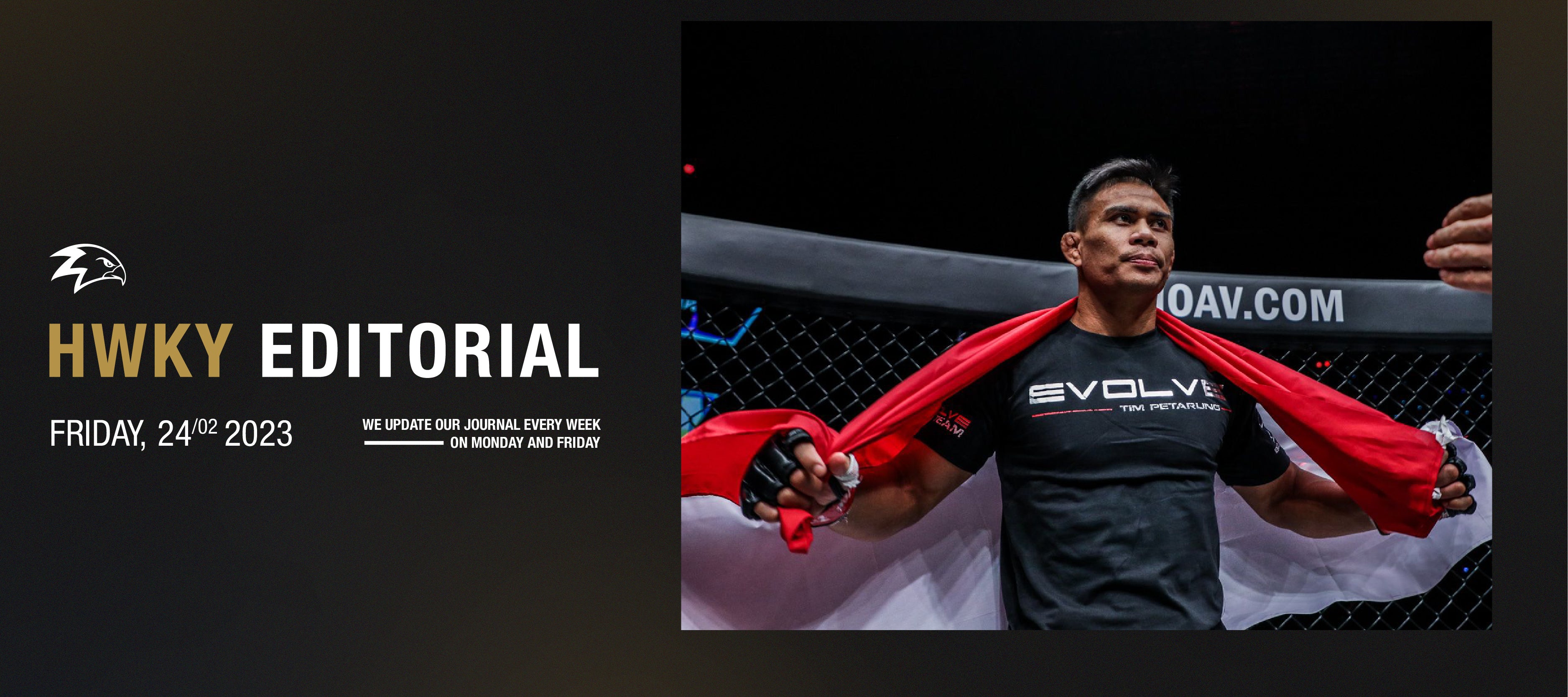 Finally, The Rise Of Indonesian MMA Is About To Begin.