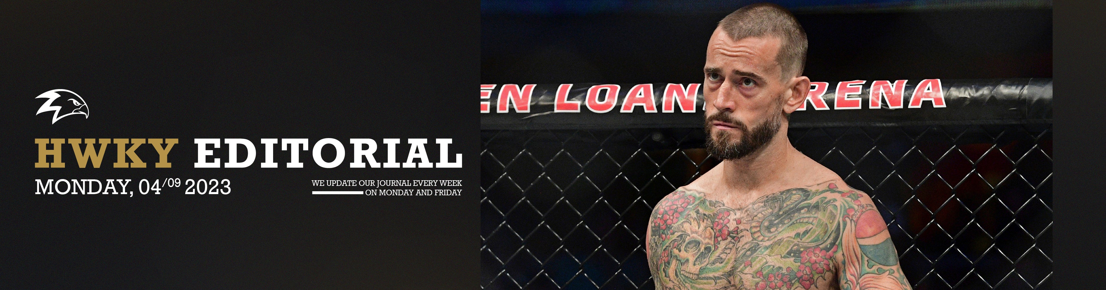 The Controversial MMA Career of CM Punk: A Rollercoaster Ride