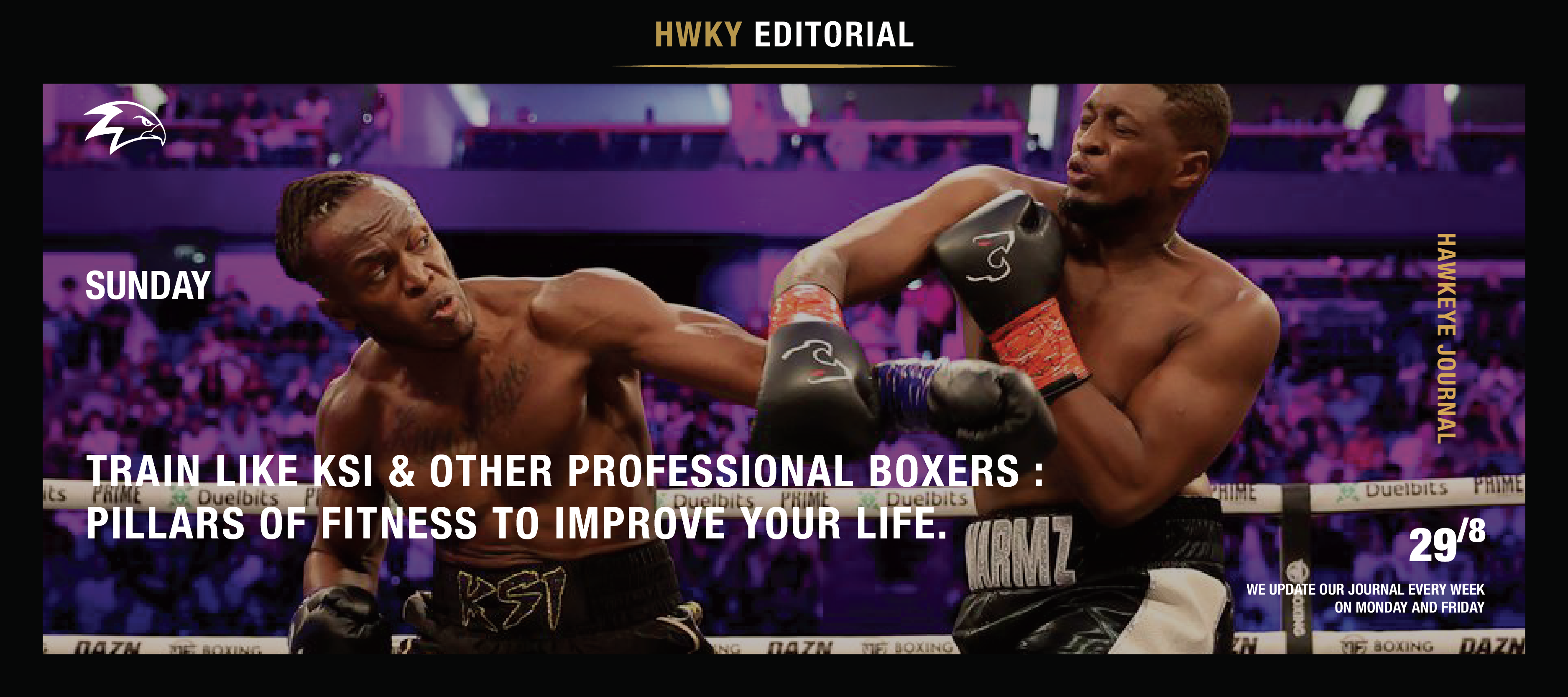 Train Like KSI & Other Professional Boxers : Pillars Of Fitness To Improve Your Life.