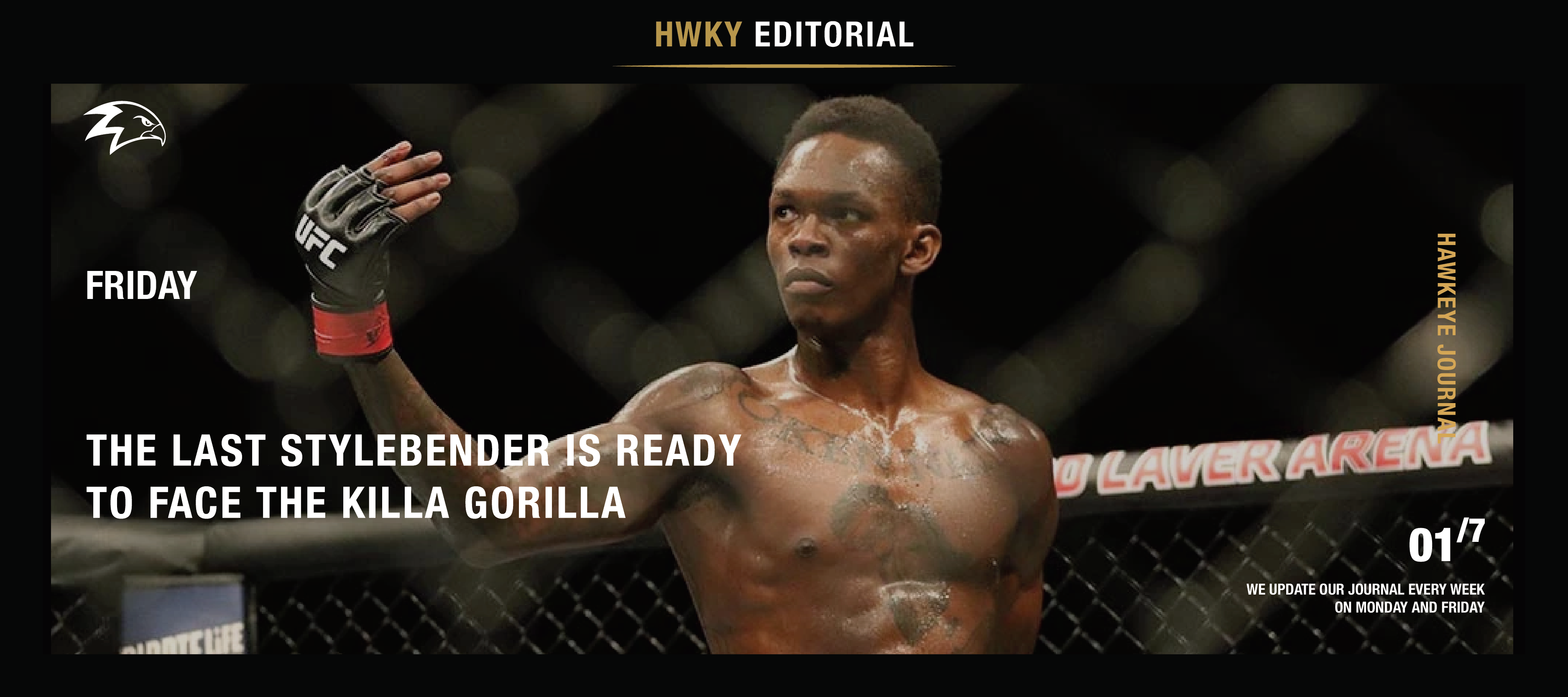 The Last Stylebender Is Ready To Face The Killa Gorilla