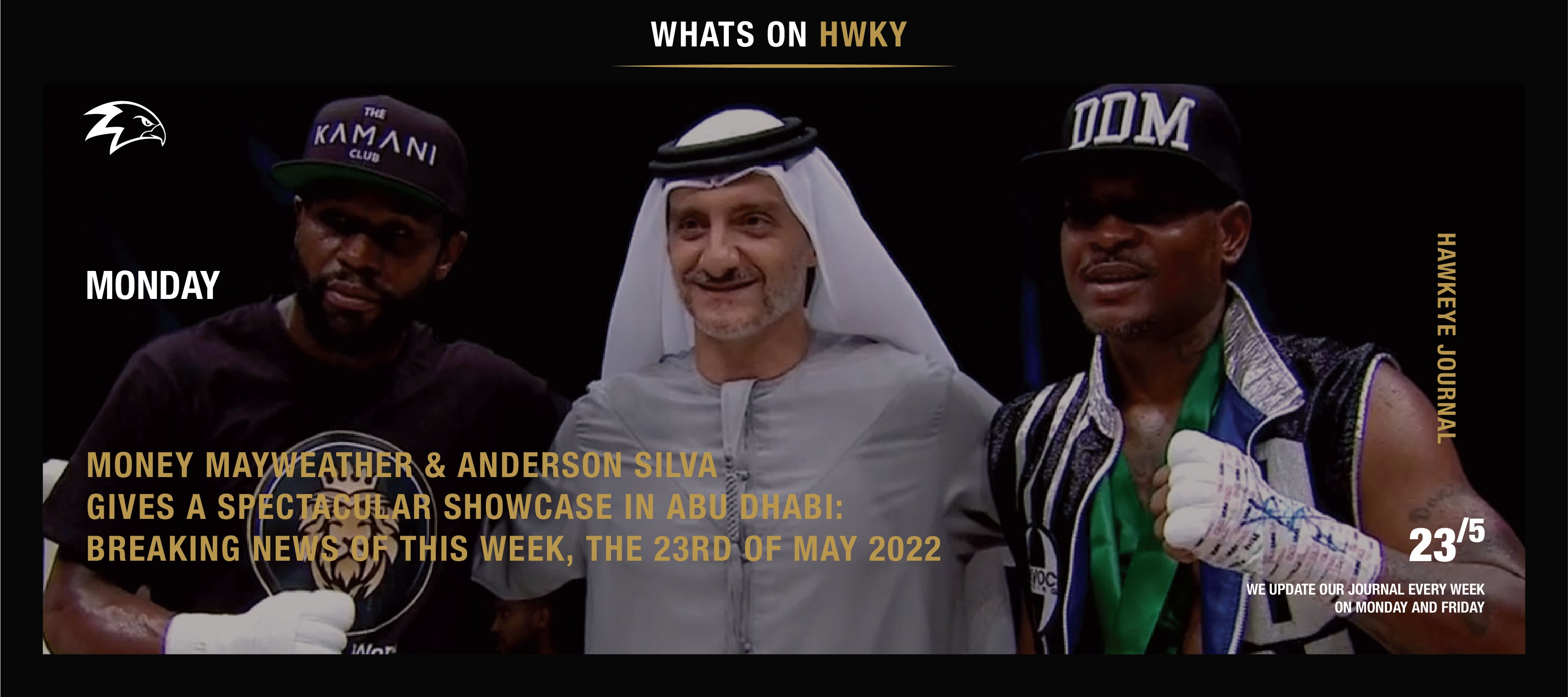 MONEY MAYWEATHER & ANDERSON SILVA GIVES A SPECTACULAR SHOWCASE IN ABU DHAB