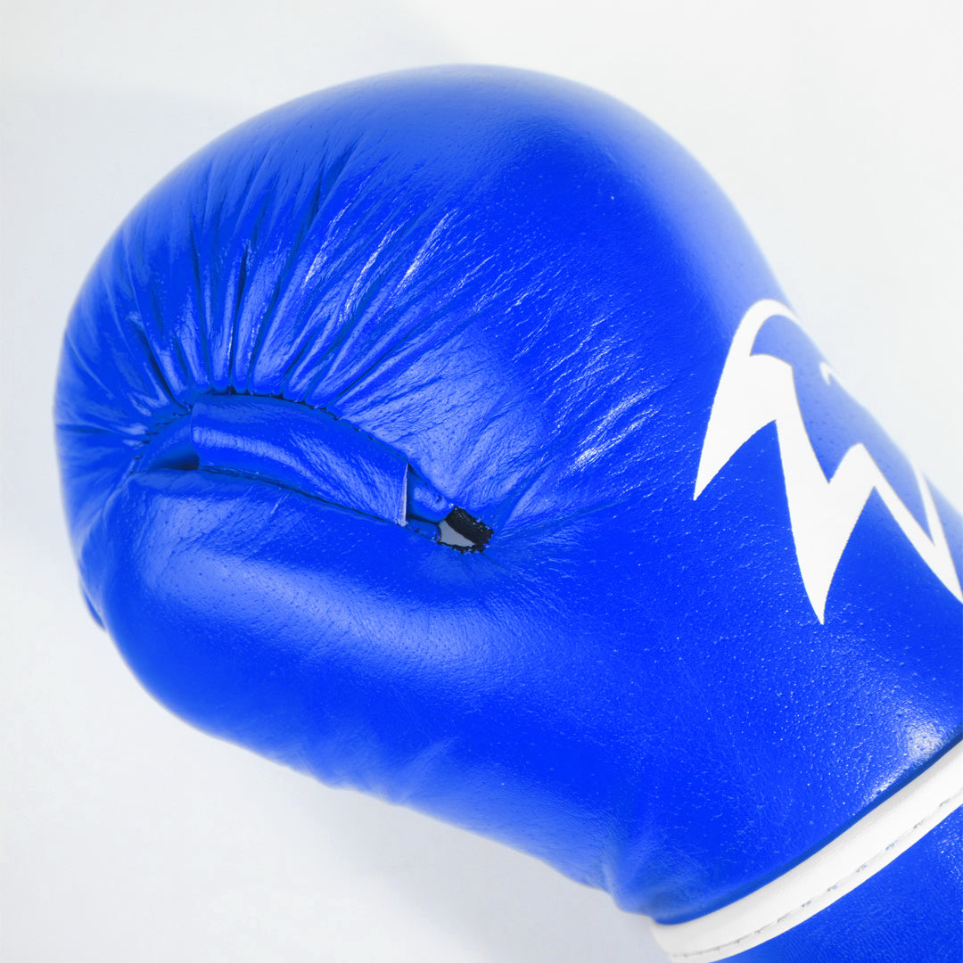 Achieve PF Gloves 2.0 - True Blue
