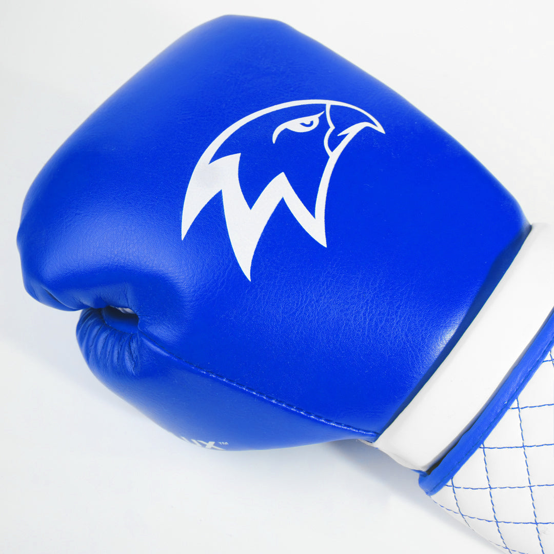 Training Gloves Acvfocus 10 Oz -Blue