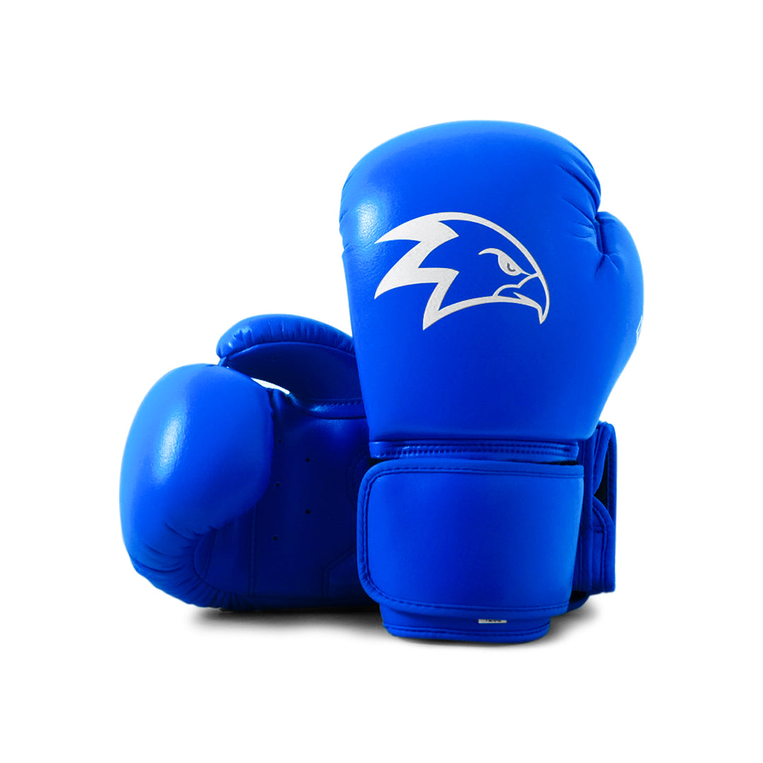 Achieve Boxing Gloves Blue