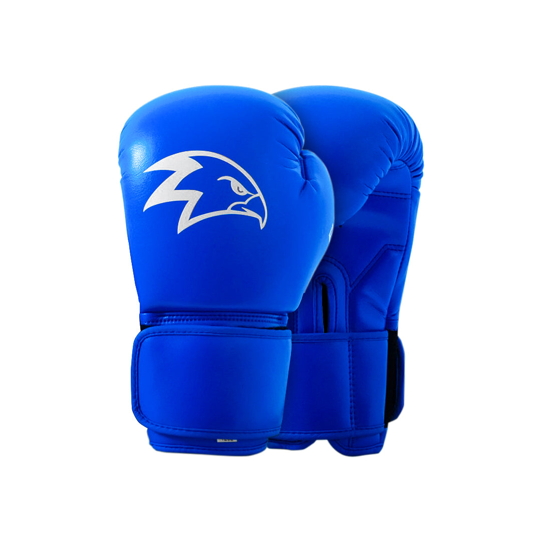 Achieve Boxing Gloves Blue