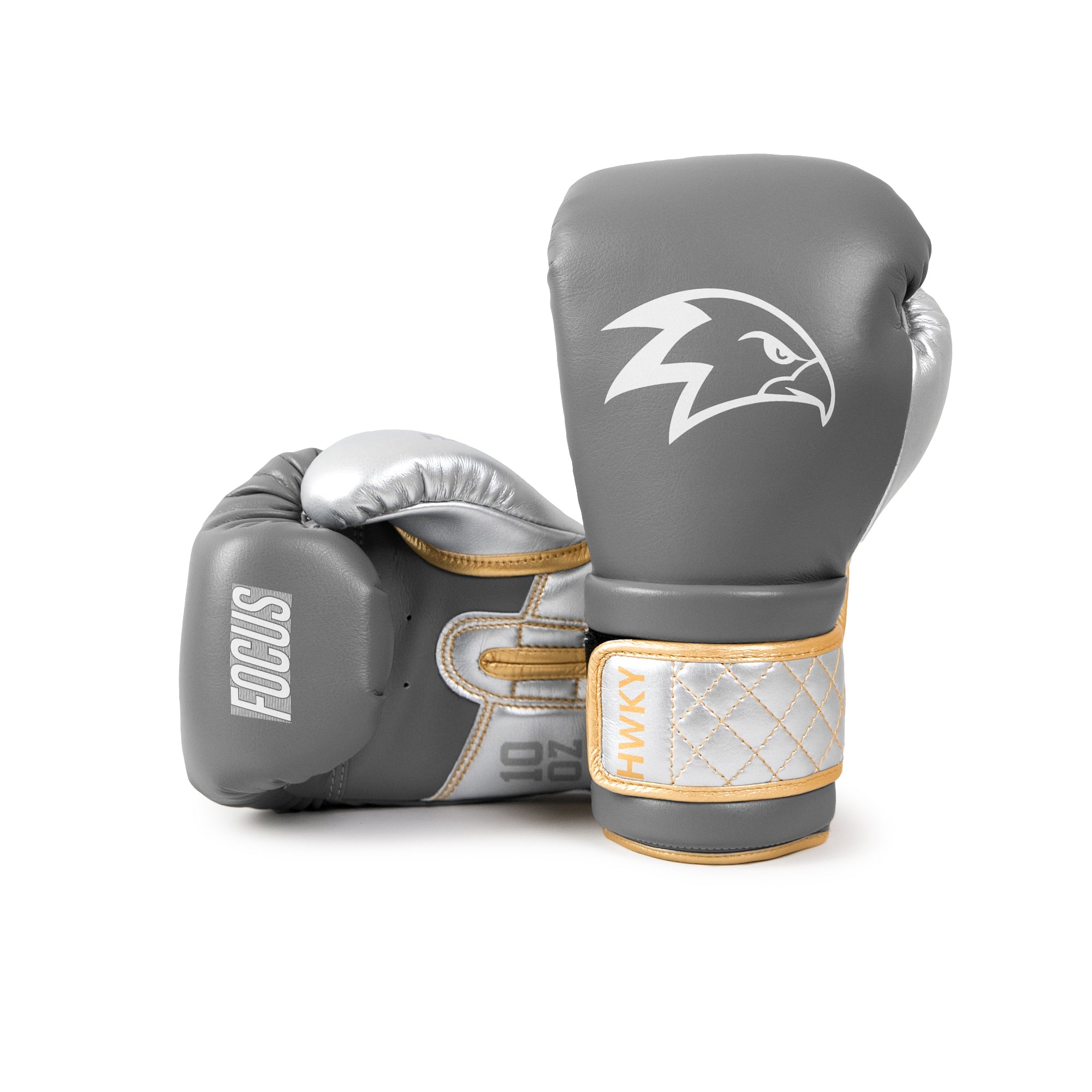 Boxing Gloves Focus | Dusty Light