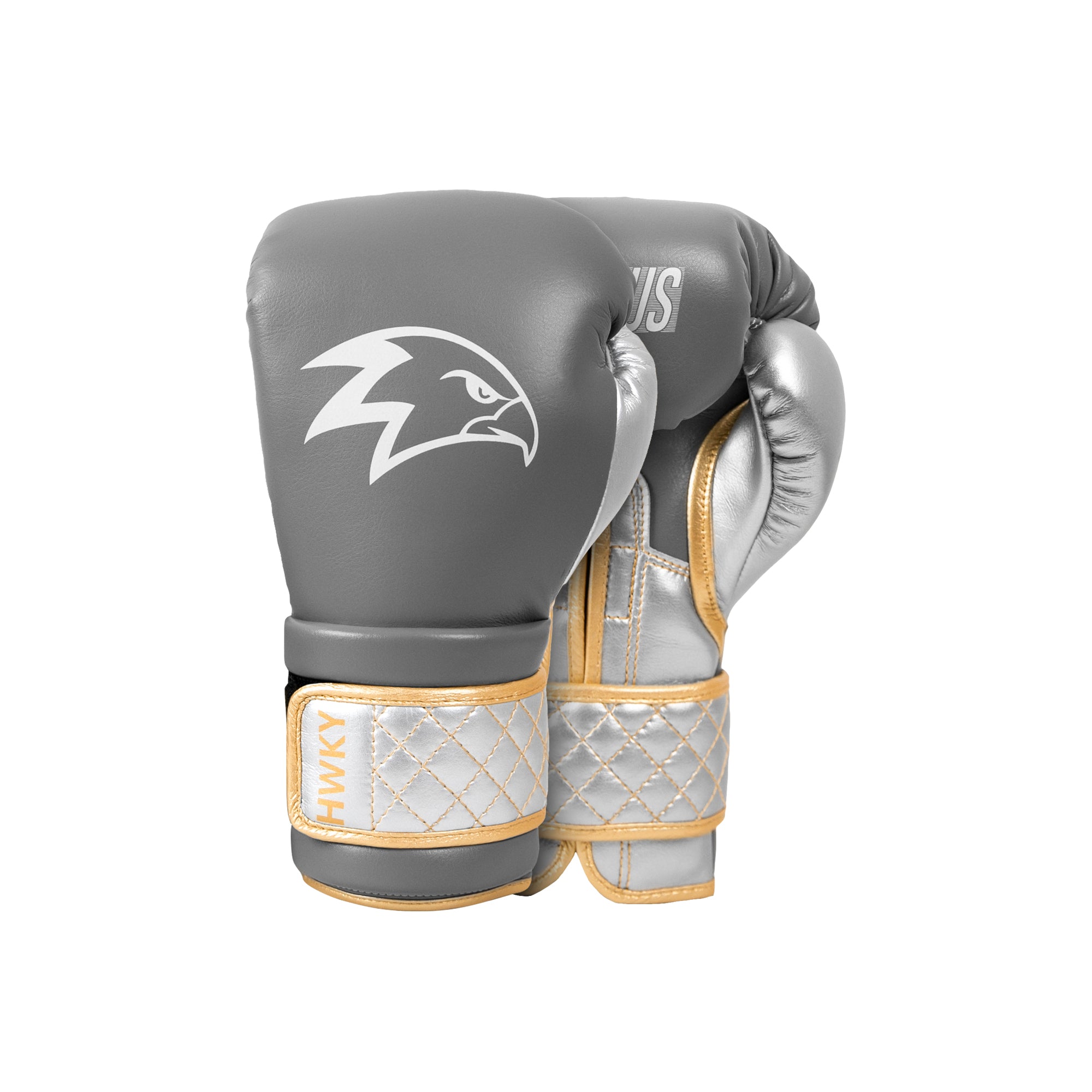 Boxing Gloves Focus | Dusty Light