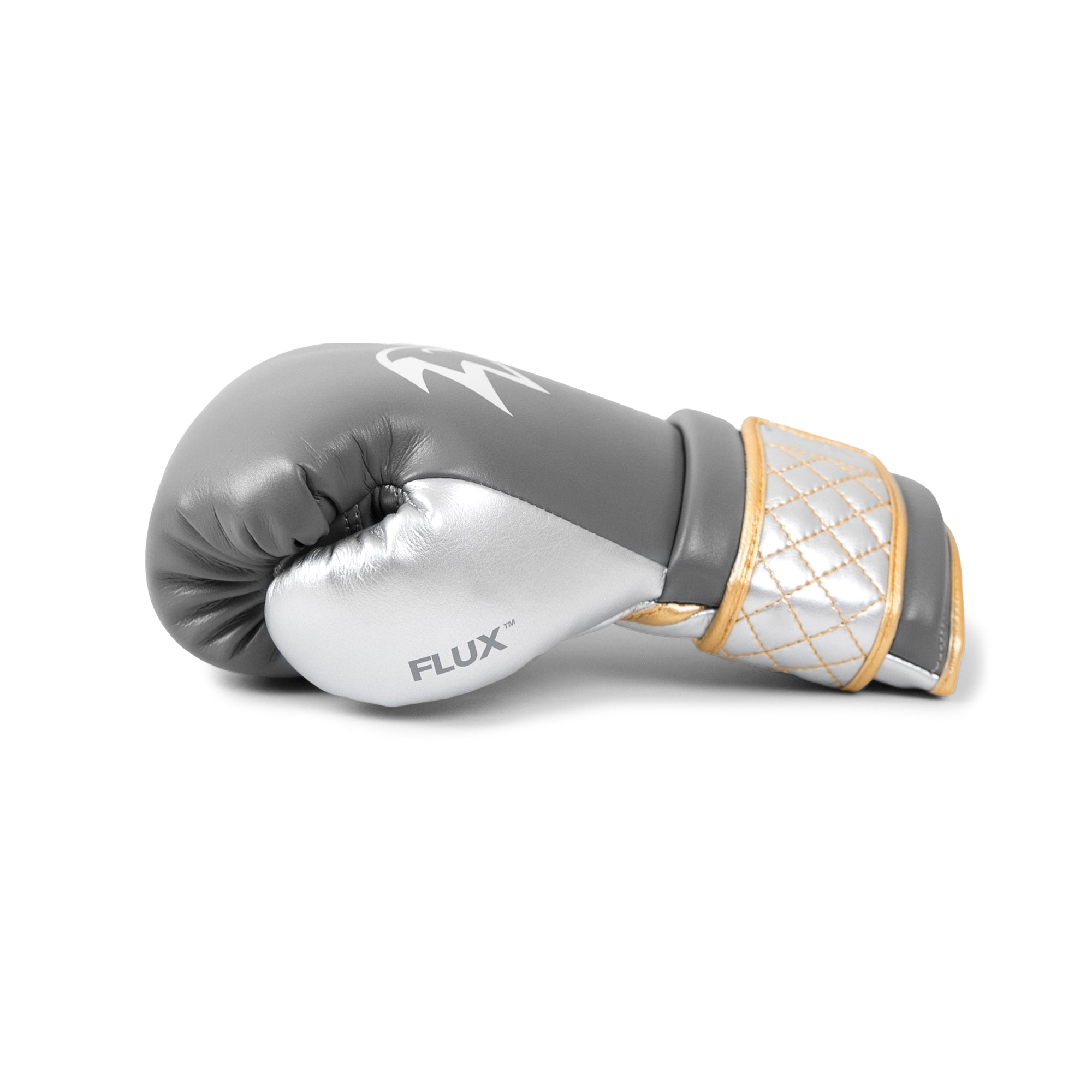 Boxing Gloves Focus | Dusty Light