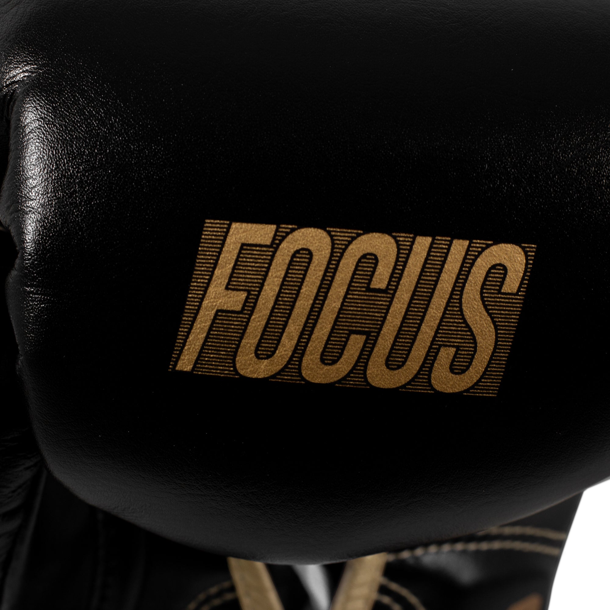 Focus Horsehair Fibre Boxing Glovee | Onyx