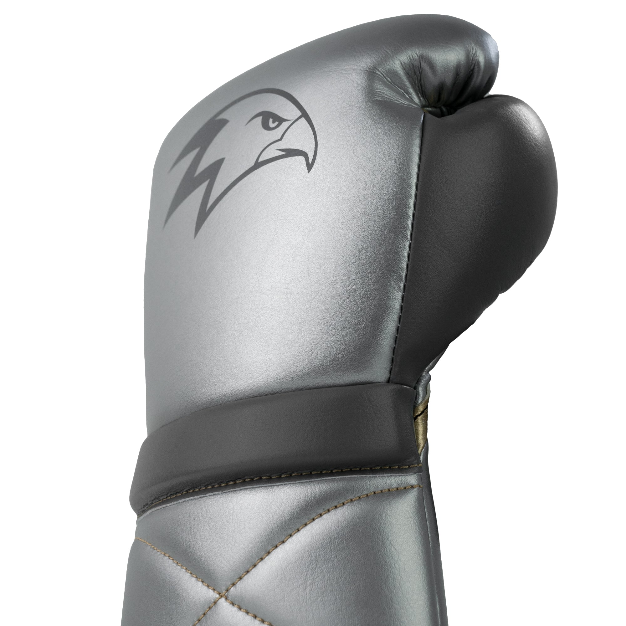 Boxing Gloves Premier | Raven