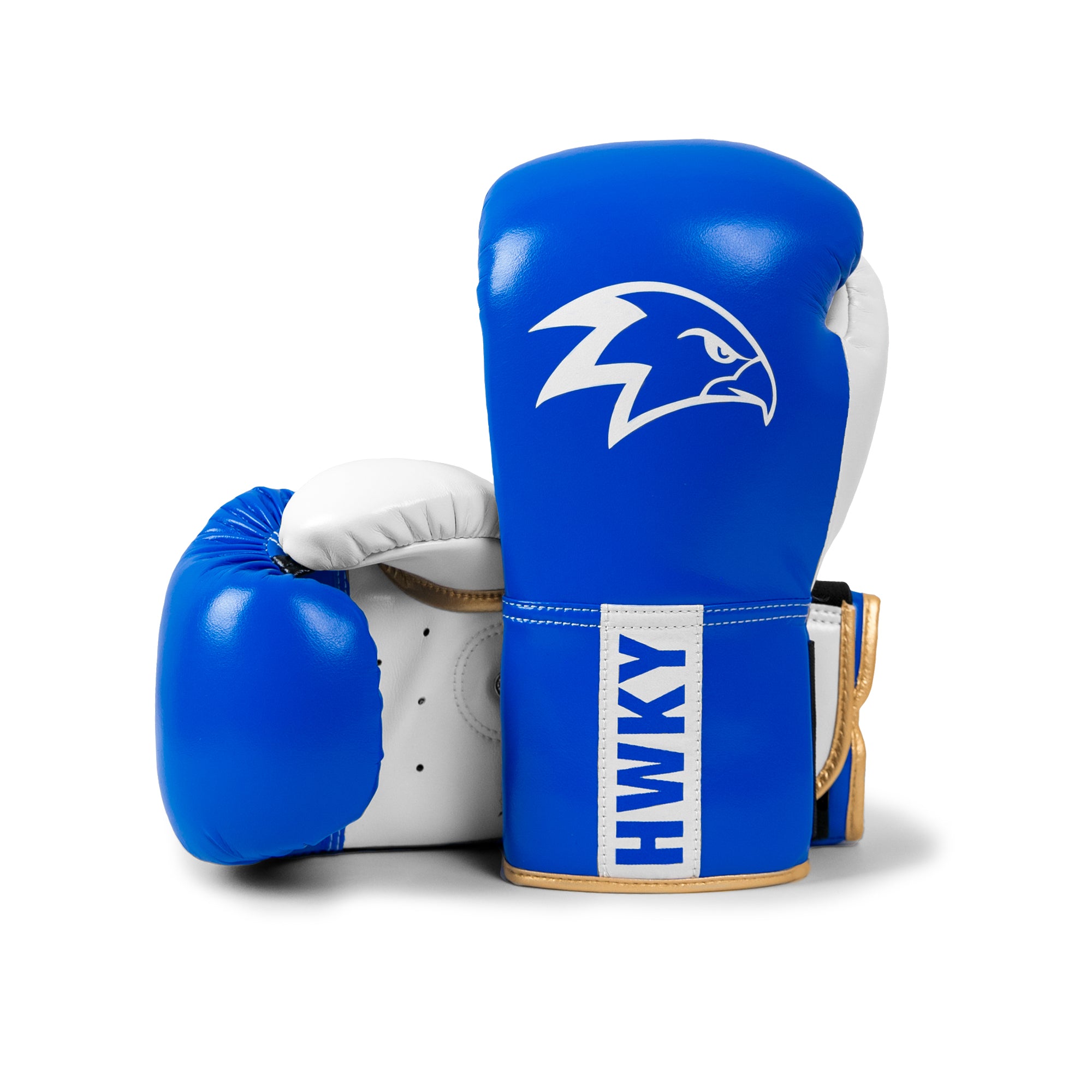 Strong World 2.0 Boxing Gloves | Azure White