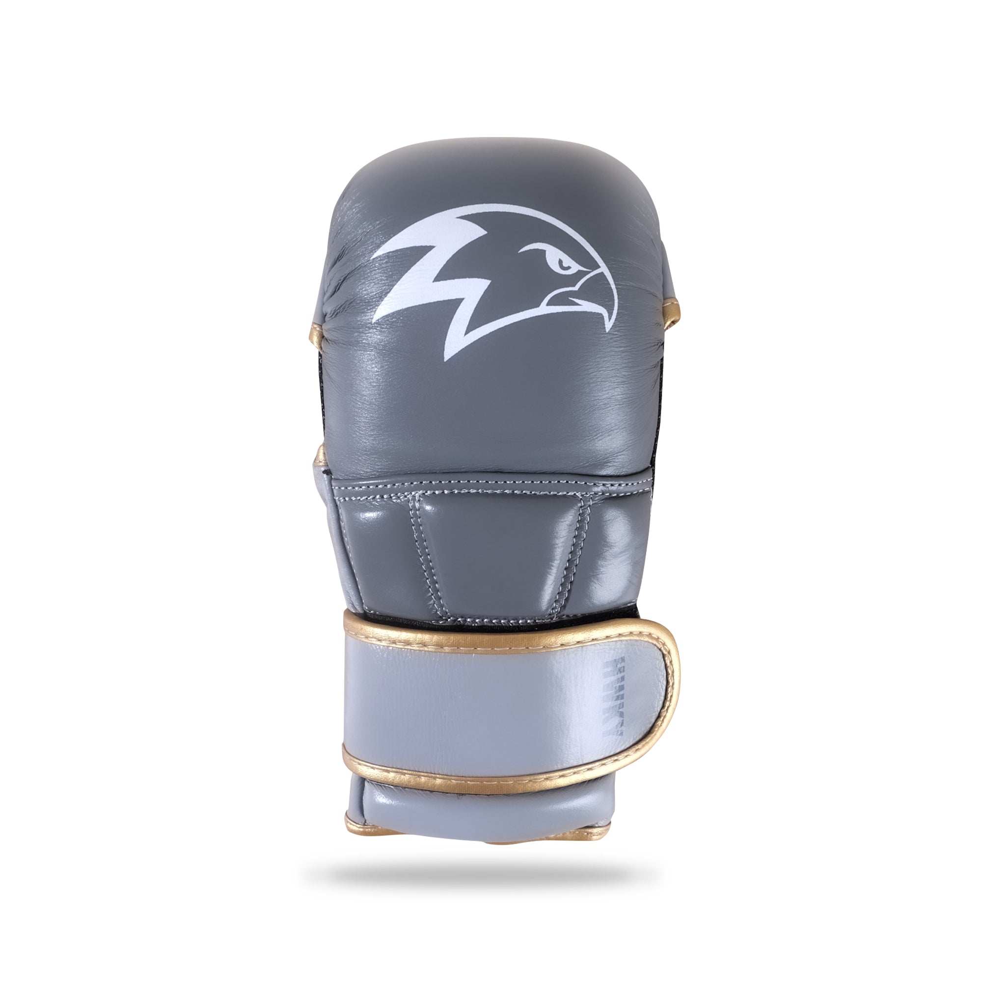 Focus Raven MMA Hybrid Gloves + Free Mystery Gift